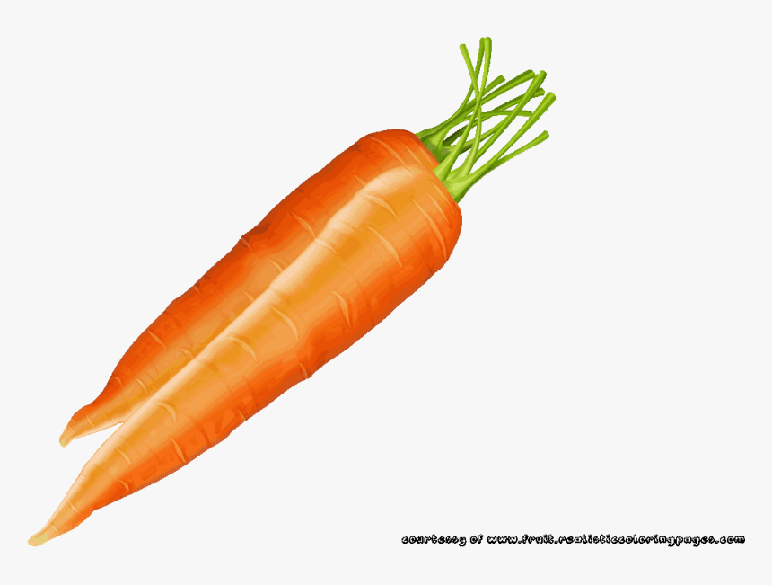 Carrots Clipart Fruit - Овощной Искусства Из Моркови, HD Png Download