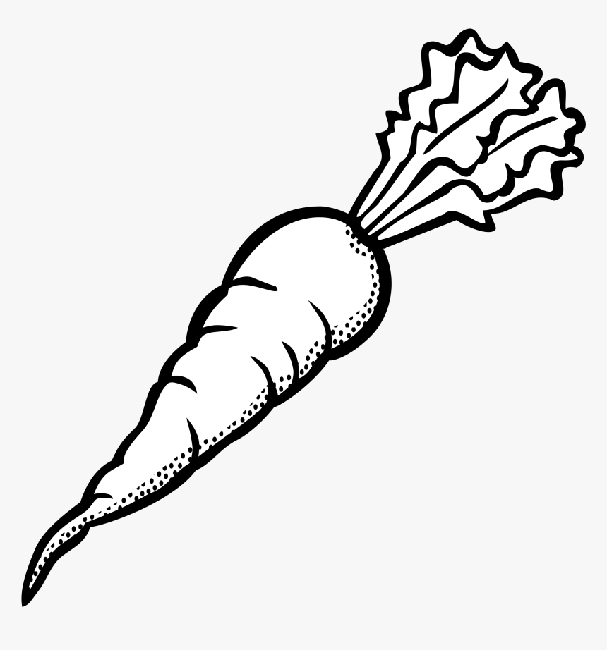 Drawn Carrot Vegetable - Carrot Clipart Black And White, HD Png