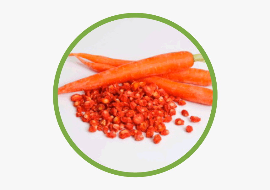 Carrot Md Circle - Happy Smile, HD Png Download