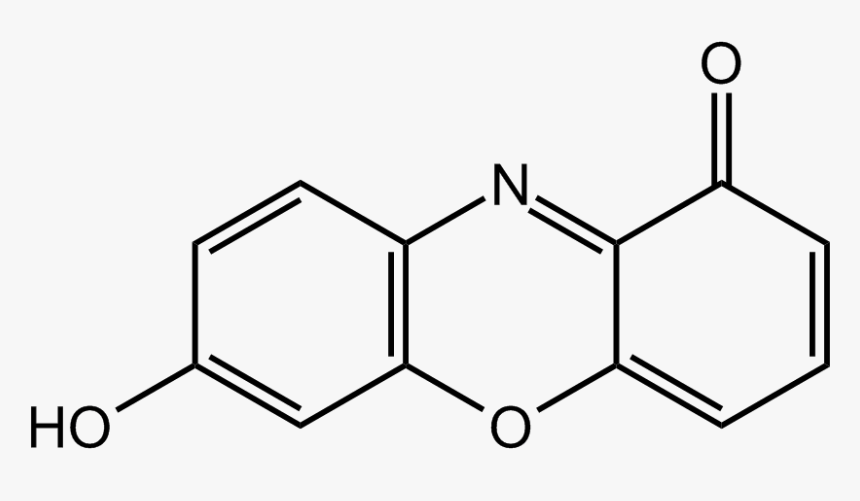 Neutral 7-hydroxyphenoxazone - 4 Propyl Benzaldehyde, HD Png Download