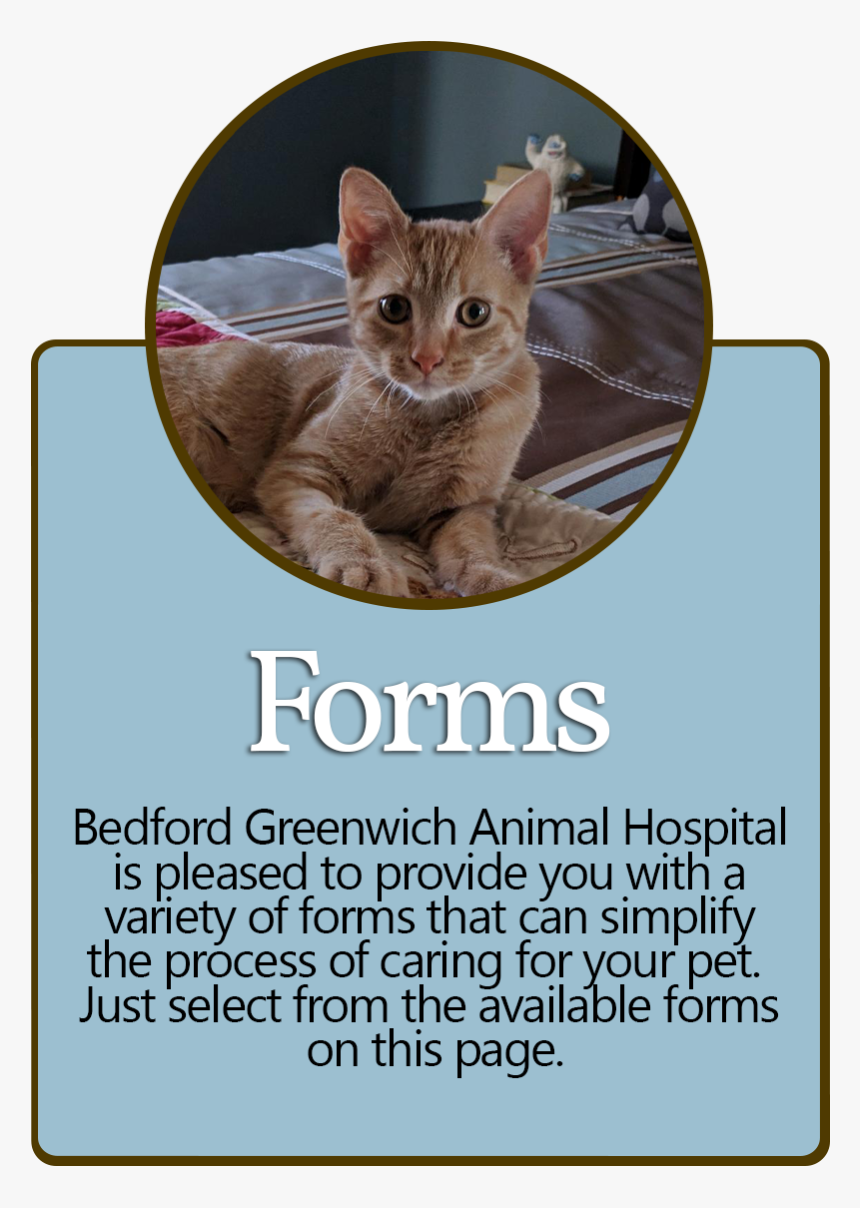 Asian, HD Png Download