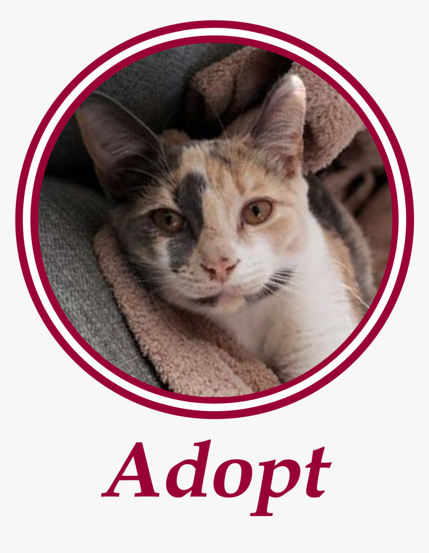 2adopt - Gebodsborden, HD Png Download