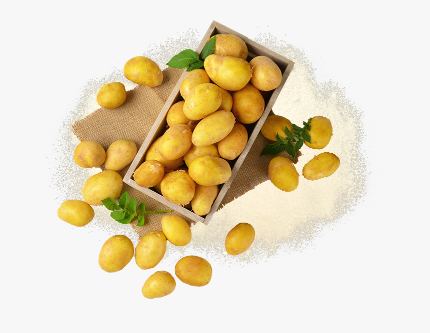 Potato-flakes - Olive, HD Png Download