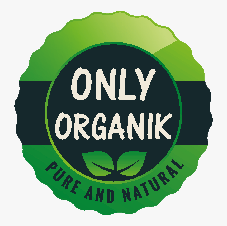 Only Organik - Sugar The Hedgehog, HD Png Download