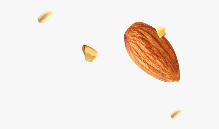 Img/footer/almond Seed - Almond, HD Png Download