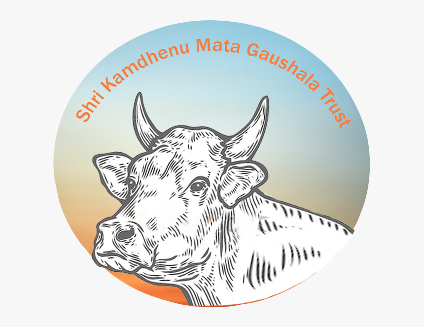 Drawings Of A Cow Head, HD Png Download