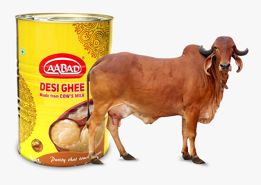 Jquery Carousel - Gir Cow Images Hd, HD Png Download