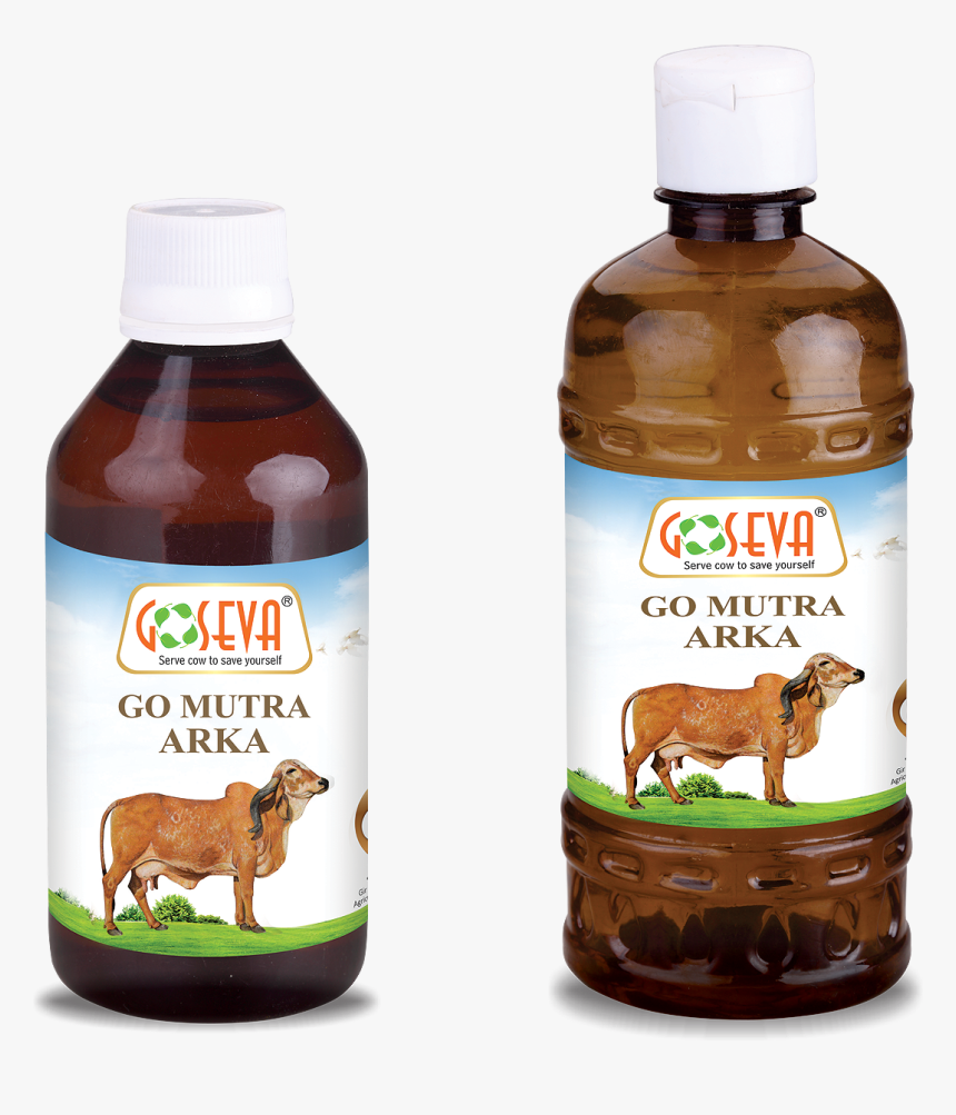 Go Ark, HD Png Download