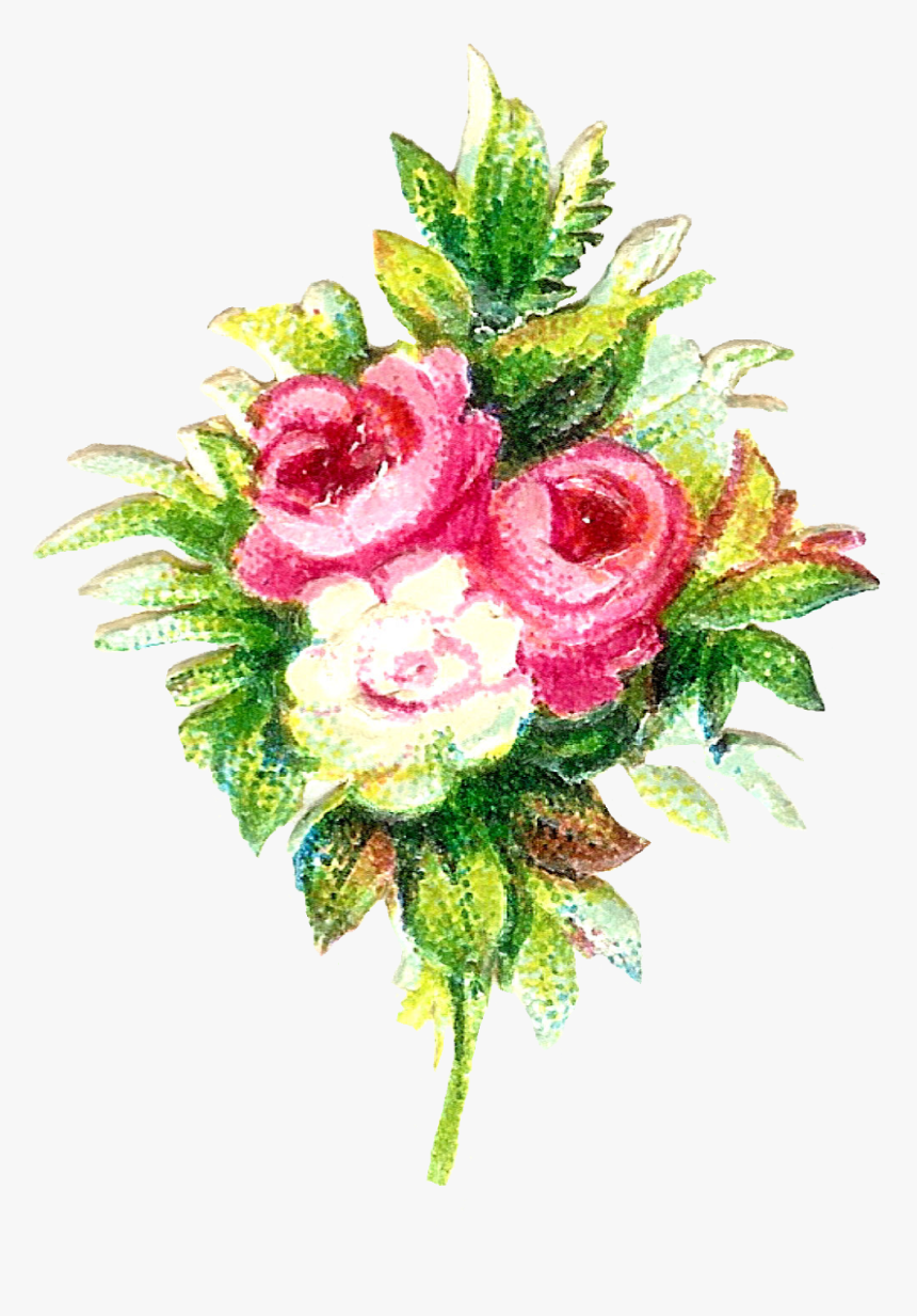 Free Flower Graphic - Flower, HD Png Download
