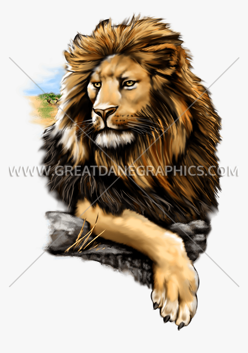 Proud Lion - T-shirt, HD Png Download