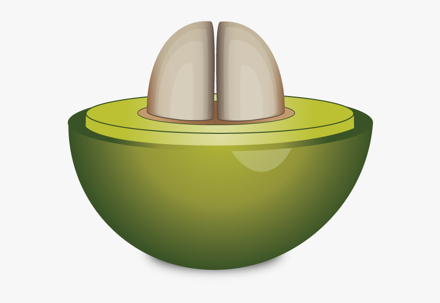 Cross Section Of Unripe Coffee Cherry - Circle, HD Png Download