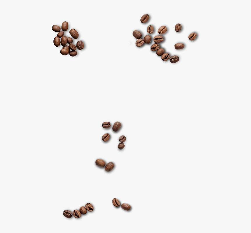 Coffee-beans - Seed, HD Png Download