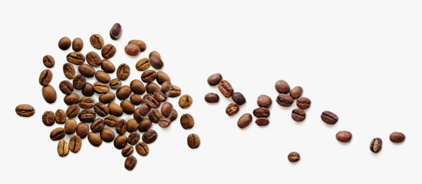 Coffee Beans Top Png, Transparent Png