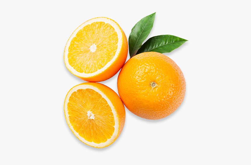 Oranges, Americas Breakroom - Orange, HD Png Download