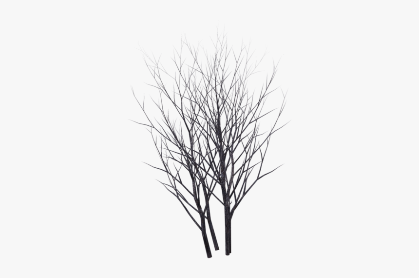 Winter Bush 05 By Wolverine04 - Bushes Transparent Background Silhouette, HD Png Download
