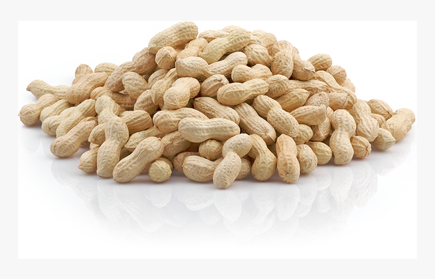 Peanuts In Shell Best Quality - मूंगफली खाने के फायदे, HD Png Download