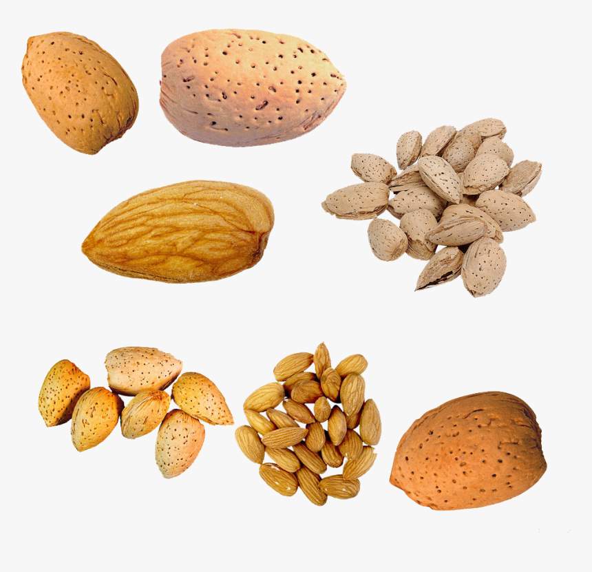 Nut U Cu Du - Almond In Peach Nut, HD Png Download