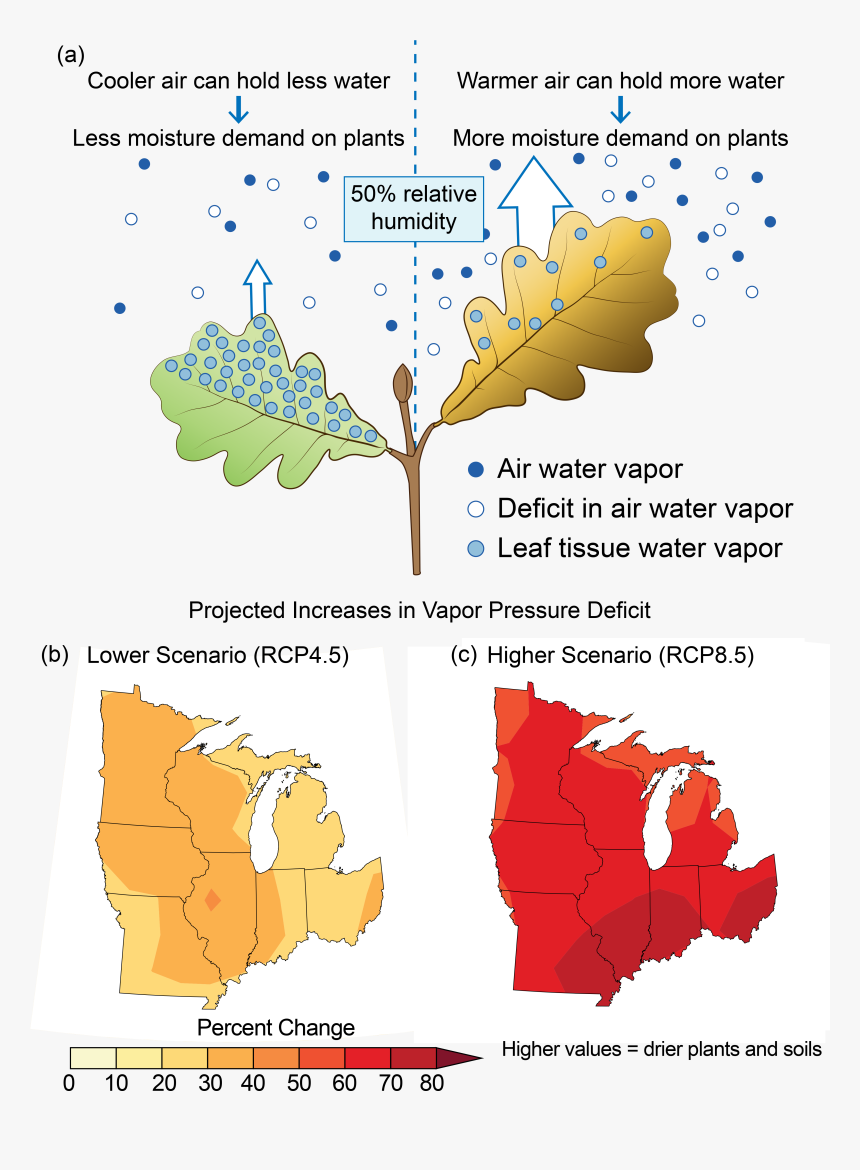 Infographic Displaying The Effects Of Projected Increases - National Climate Assessment Midwest, HD Png Download