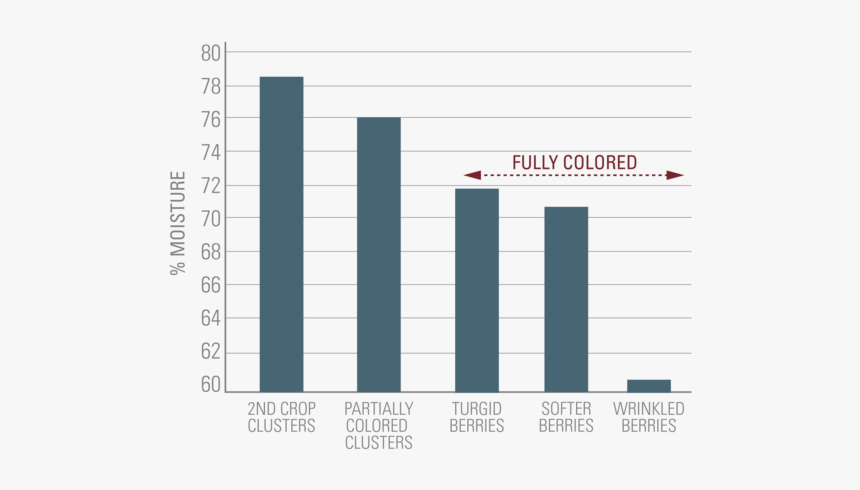Percent Of Wine Is Water, HD Png Download