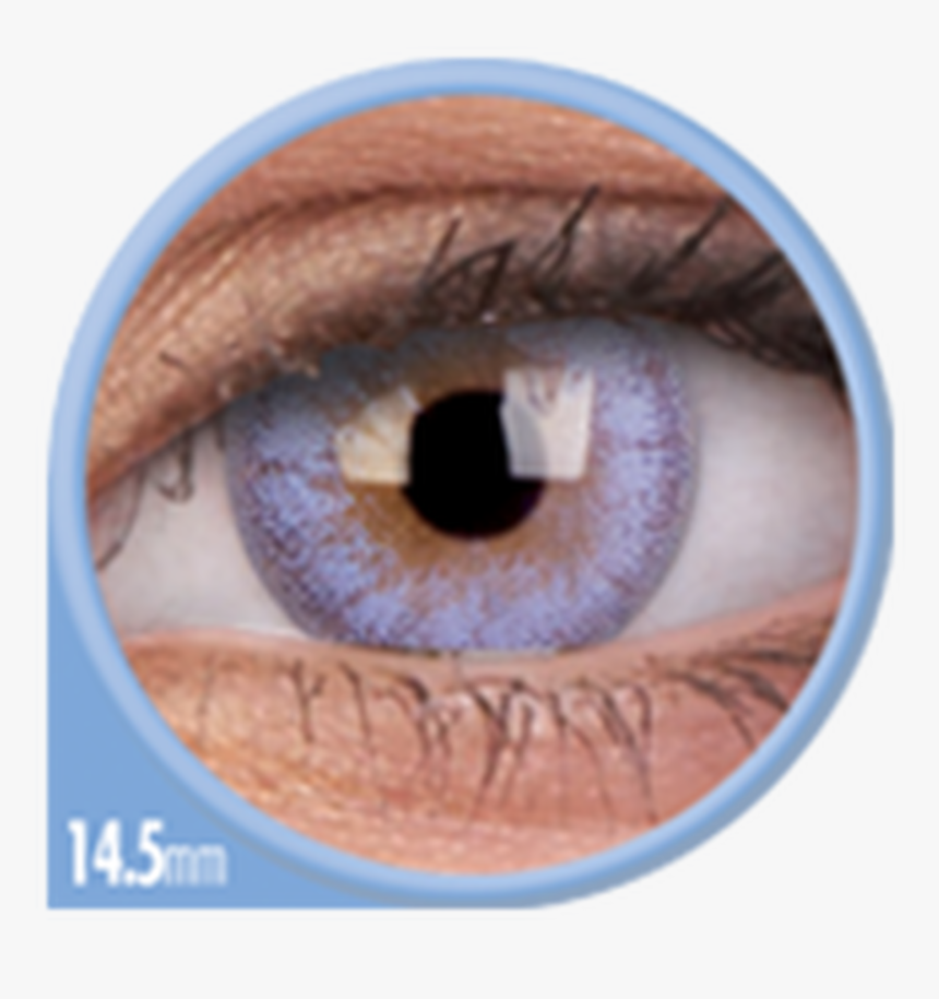 Contact Lenses, HD Png Download