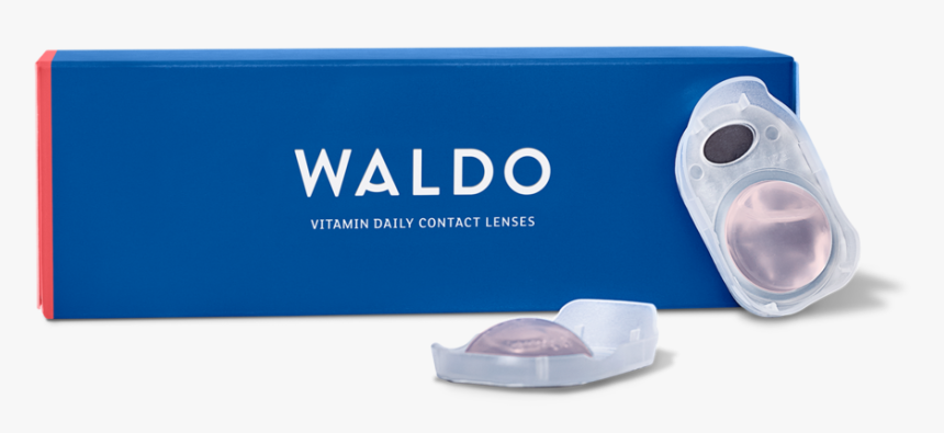 Vitamin Daily Contact Lenses - Waldo Daily Contact Lenses, HD Png Download