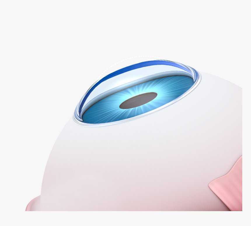 Model Of An Eye - Circle, HD Png Download