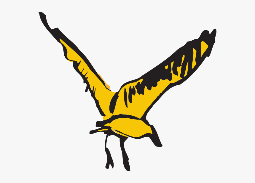 Bird, HD Png Download