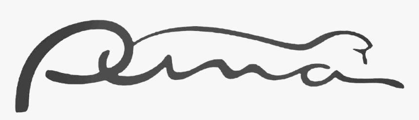 Puma Logo Photo Background - Ford Puma Logo, HD Png Download