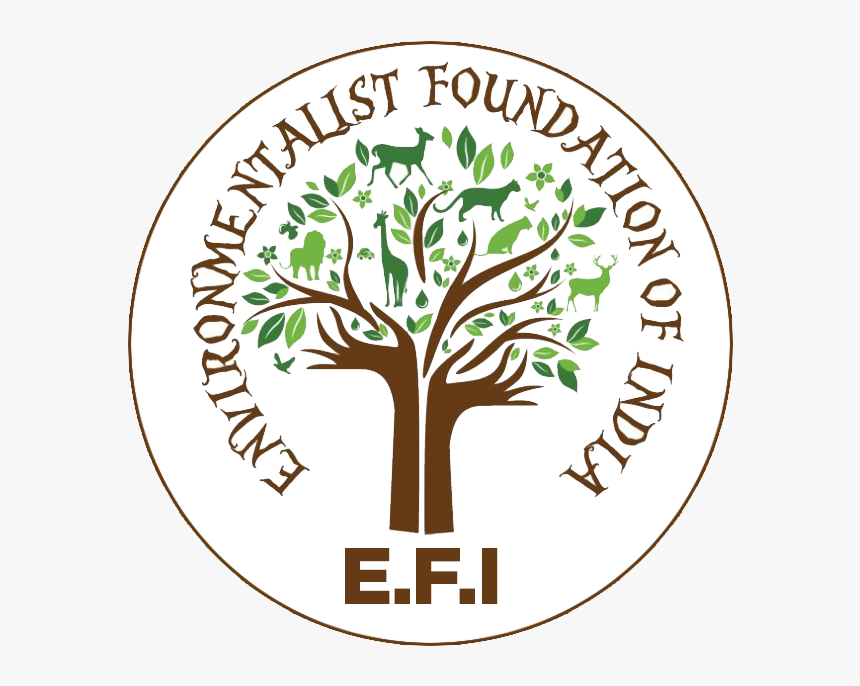 World Environment Day 2011 Theme, HD Png Download