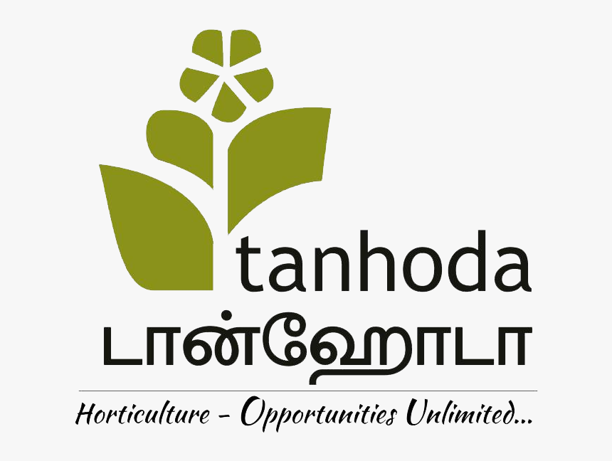 Itv Granada, HD Png Download