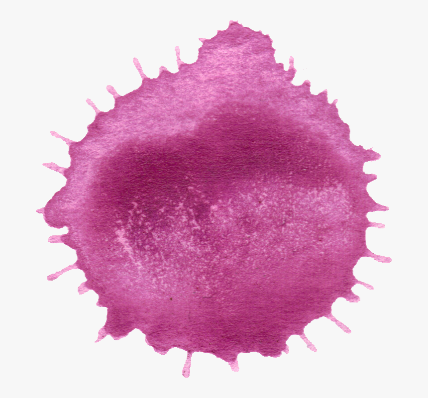 Circle, HD Png Download