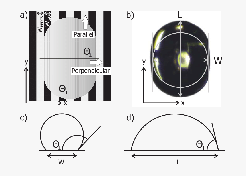 Circle, HD Png Download