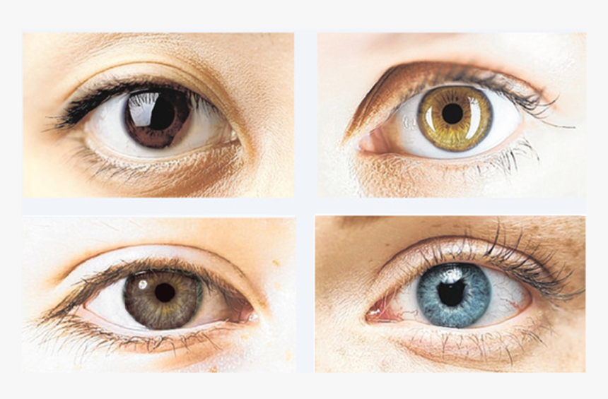 Colour Changing Eye Drops, HD Png Download