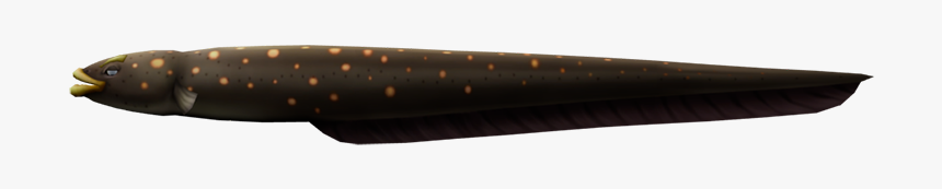 Download Zip Archive - Cartilaginous Fish, HD Png Download