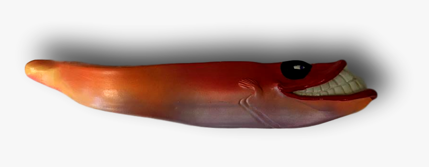 Earwigs, HD Png Download