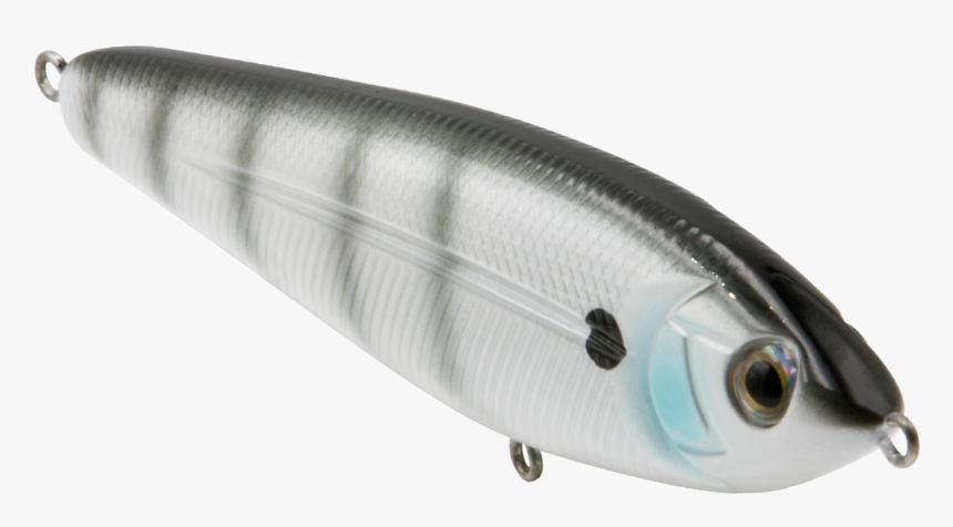 Sand Eel - Sardine, HD Png Download