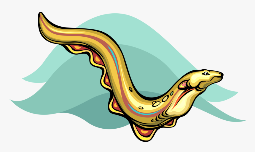 Vector Illustration Of Anguilliform Locomotion Marine - Eel Vector, HD Png Download