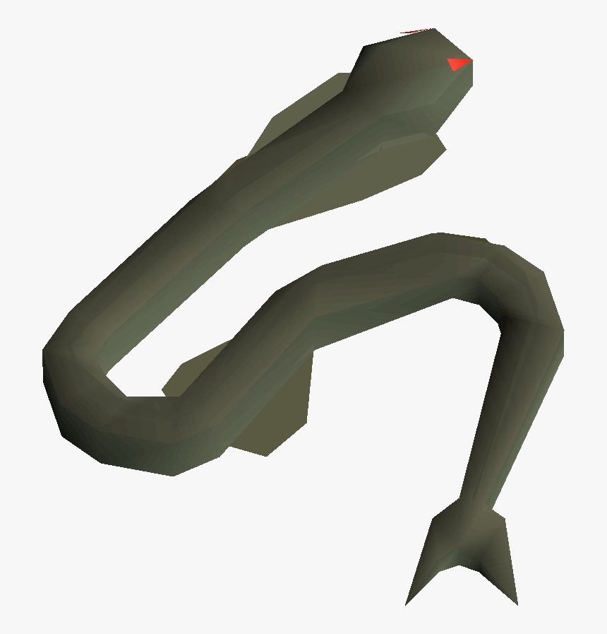 Runescape Eel, HD Png Download