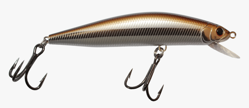 Sauries, HD Png Download