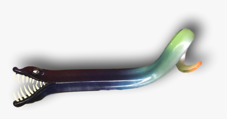 Eel, HD Png Download