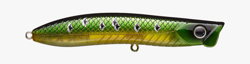 Sand Eel, HD Png Download