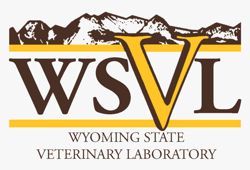 Wsvl Logo - Illustration, HD Png Download