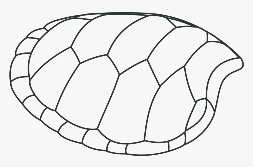 Line Art,head,ball - Ocean Animals Clipart Black And White, HD Png Download