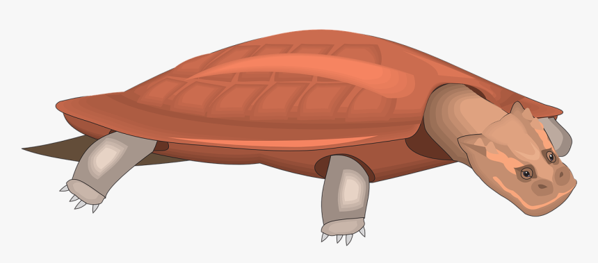 Clip Art, HD Png Download