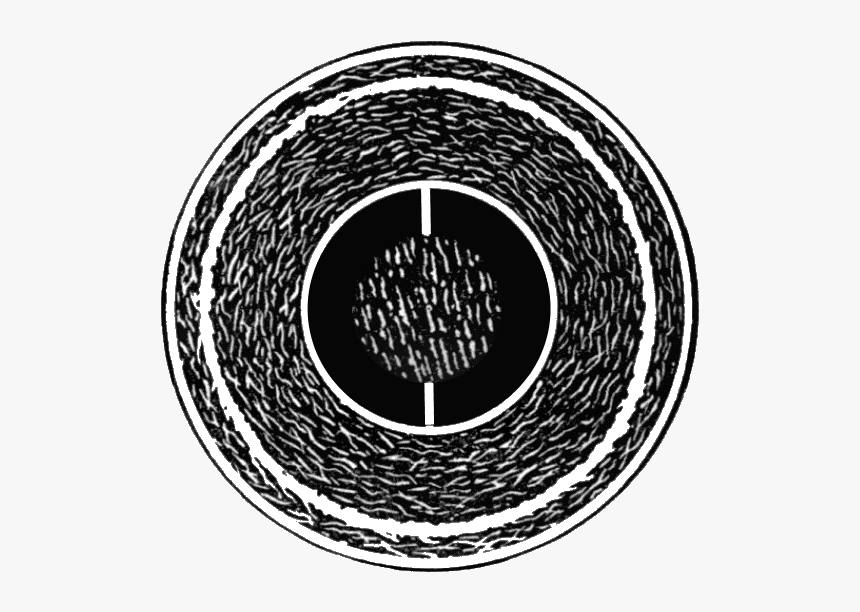 Cushioned Cork Center Baseball Schematic From Evolution - Circle, HD Png Download