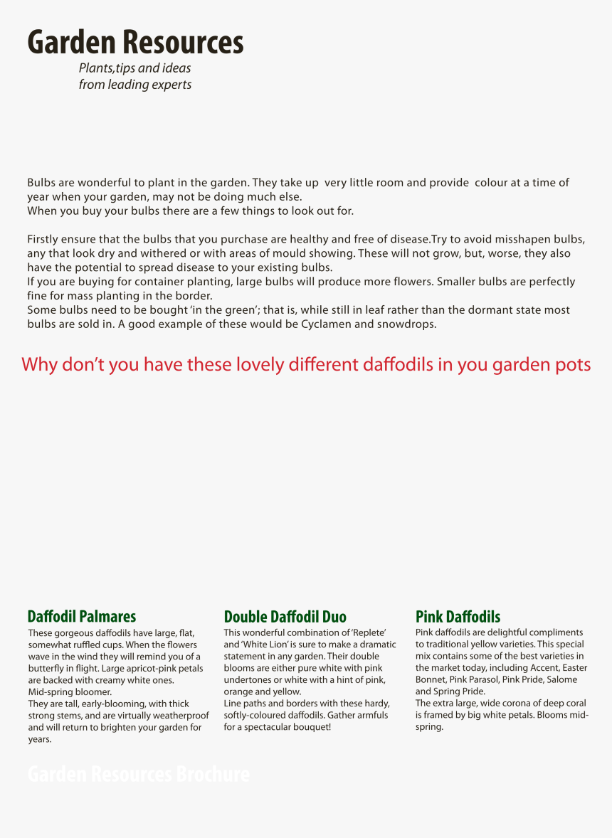 Document, HD Png Download