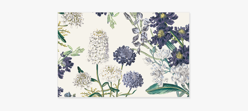 Botanical Garden, Background V, HD Png Download