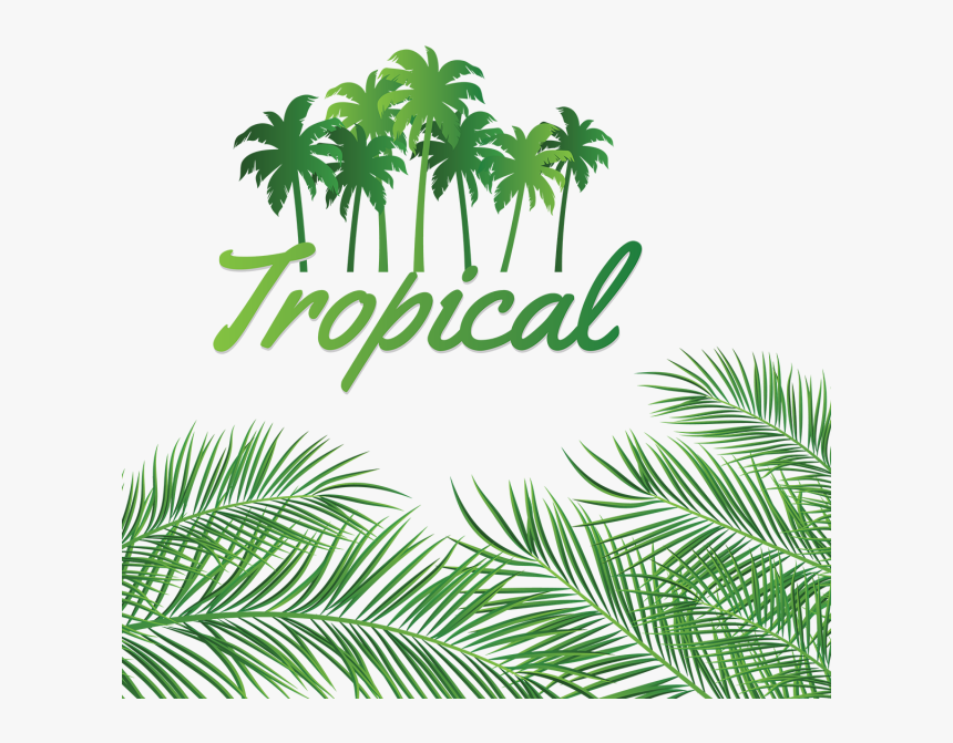 Leaves Decoration With Tropical Coconut Background, - Linux Networking, HD Png Download