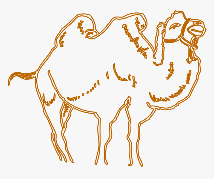 Camel Head Huge Freebie Download For - Arabian Camel, HD Png Download