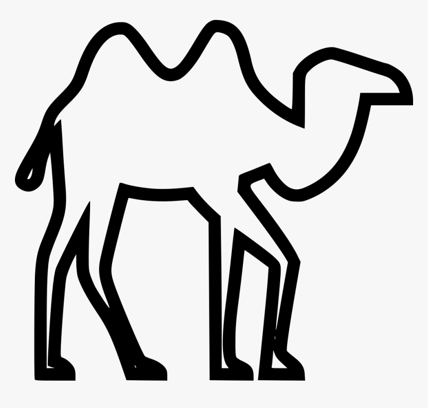 Camel, HD Png Download